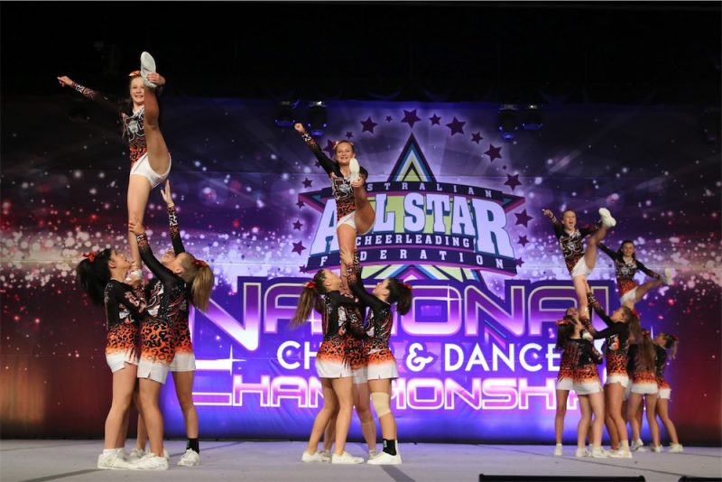 cheerleadingdancemornington0009 Jungle Cats